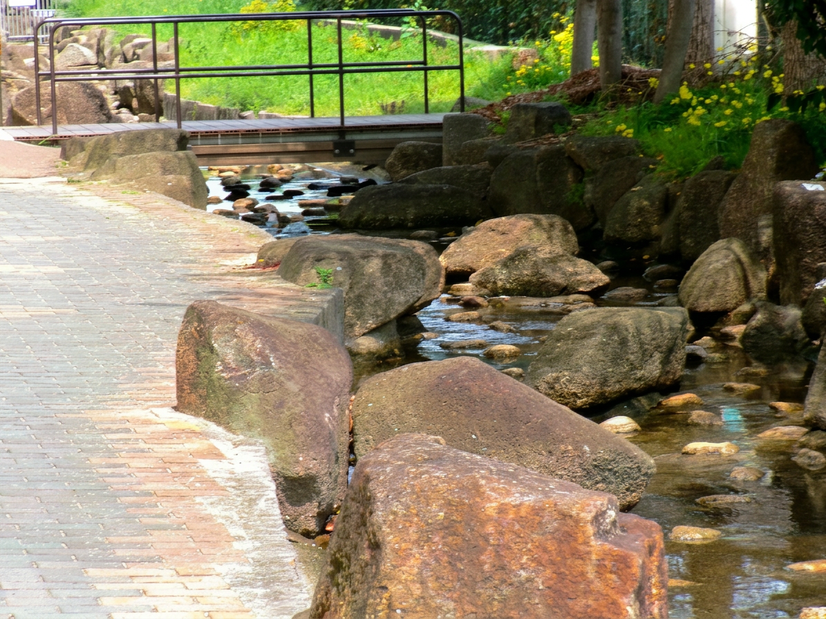 せせらぎ十三間親水公園2